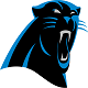 Carolina Panthers betting guide