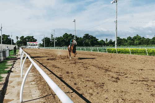 best-horse-racing-betting-online-usa