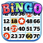 How to Play Bingo Game 