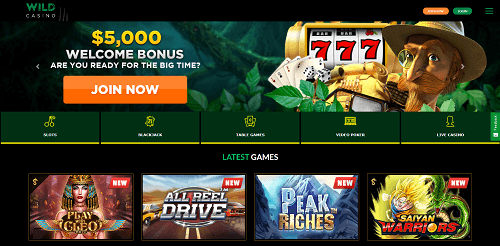 wild casino bonus