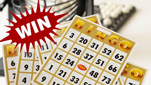 Winning Bingo 