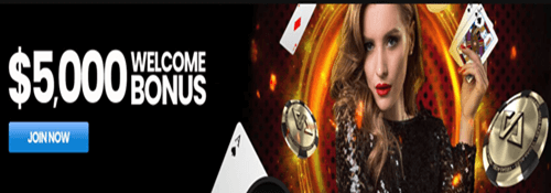 Vegas Aces Casino Bonuses & Promotions